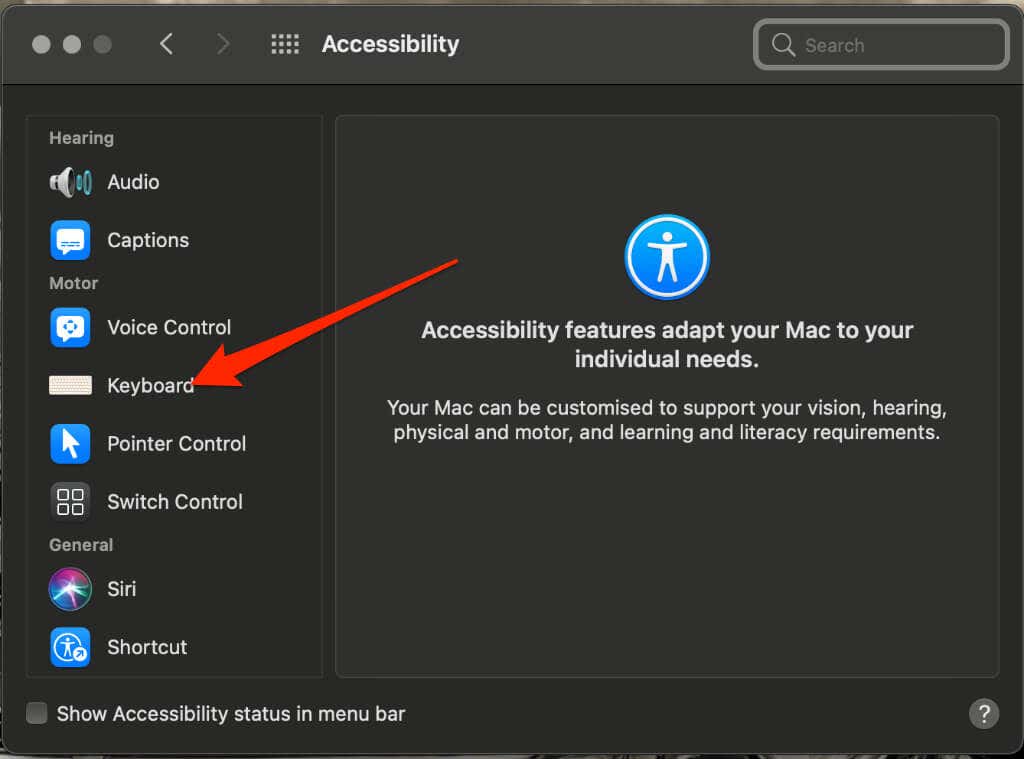 Accessibility > Keyboard
