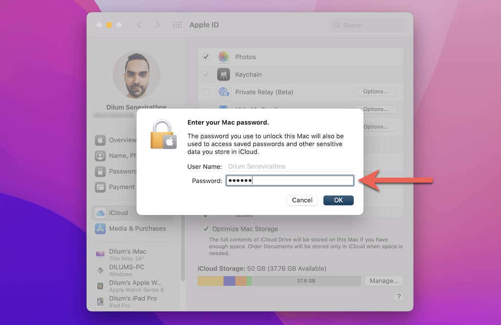 Enter Mac password 