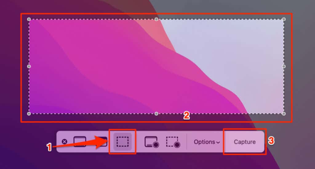 Capture Selected Portion, resize dotted rectangle, and Capture button 