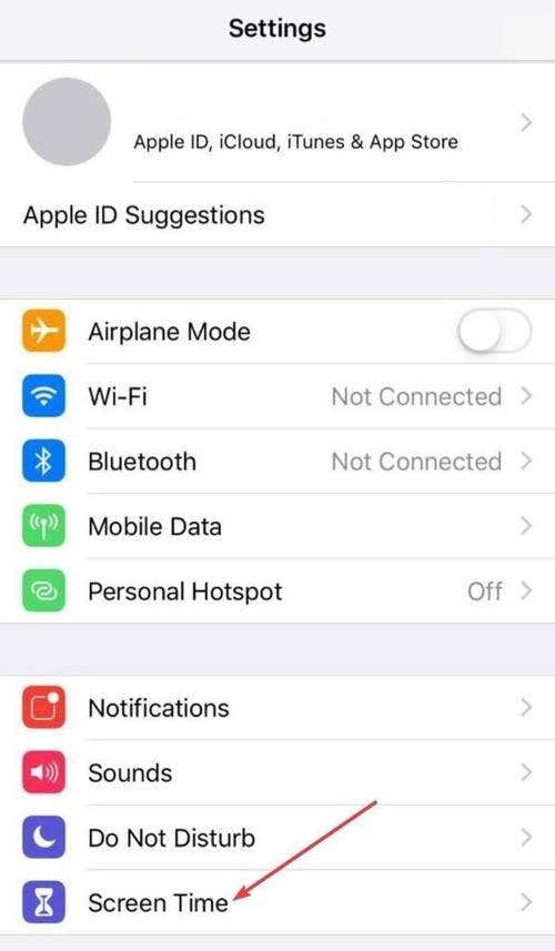 Settings window on iPhone with Screen Time highlighted