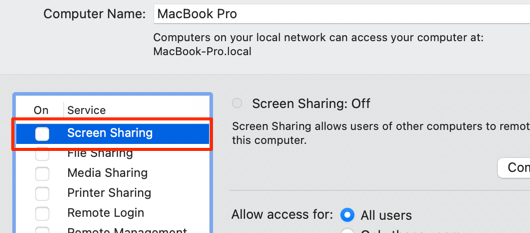 Screen Sharing check box