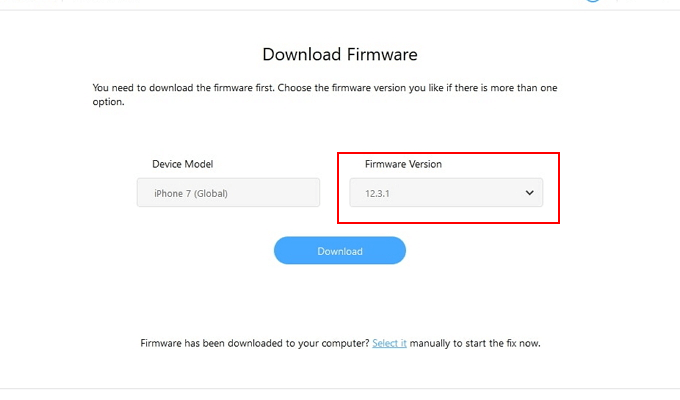 Download firmware window